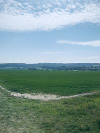 Scenic view of field against sky