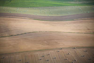 High angle view of agricultural field