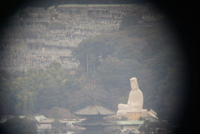 human representation