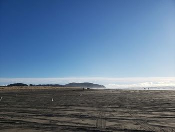 Scenic view of beach against clear blue sky