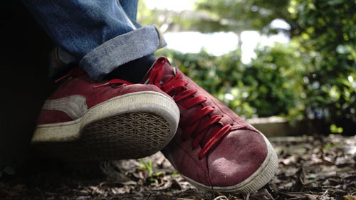 Low section of man wearing shoes