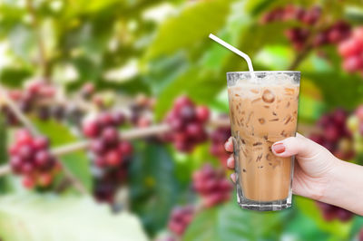 Close-up of hand holding drink