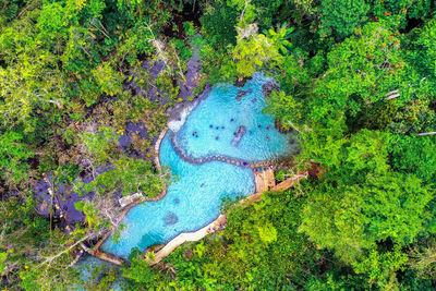 High angle view of lake amidst trees