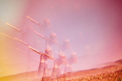 Plant growing on land against sky during sunset