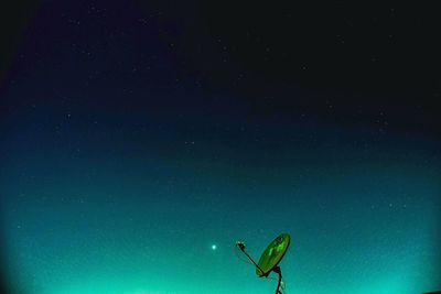 Low angle view of grasshopper against star field at night