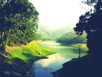 Scenic view of lake and trees against sky