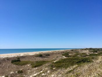 Scenic view of beach against clear blue sky