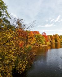 Trees by river against sky during autumn