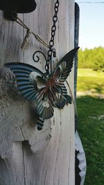 Close-up of wooden door