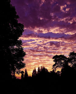 Low angle view of silhouette trees against sky during sunset
