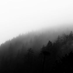 Silhouette trees on landscape against sky during foggy weather