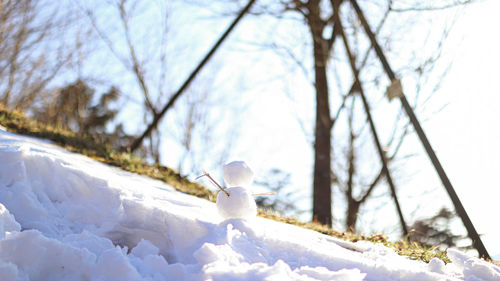 Snow covered bare tree