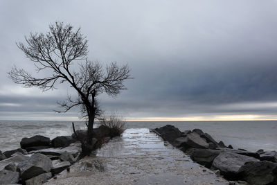 Scenic view of sea against sky