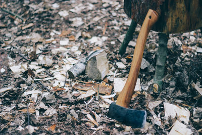 High angle view of axe in forest