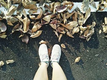 Low section of person standing on dry leaves