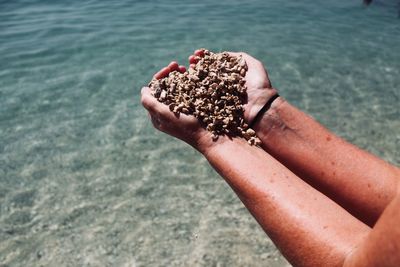 Cropped hand holding stones at beach