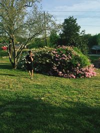 Plants growing on field