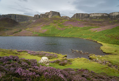 Loch langaig on the isle of skye, scotland. blooming purple heather 