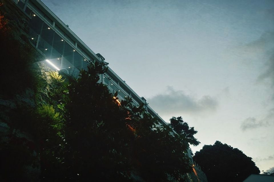 low angle view, sky, tree, architecture, built structure, building exterior, cloud - sky, nature, growth, day, outdoors, cloud, no people, sunlight, house, beauty in nature, cloudy, building, tranquility, high section