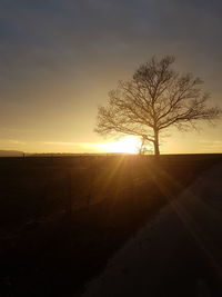 Silhouette tree on landscape against sky during sunset