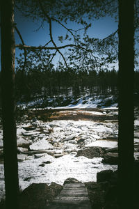 Snow covered land by trees against sky