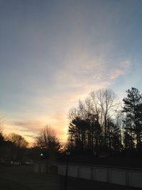 Silhouette of bare trees at sunset