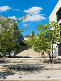 Trees and plants by building against blue sky on sunny day