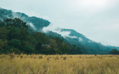 Scenic view of landscape against sky