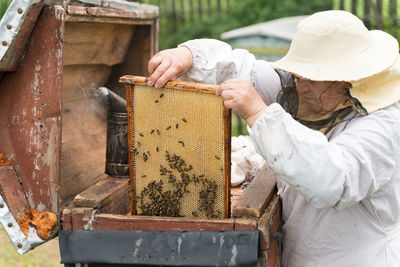 Beekeeper holding up tray of honeycomb at park