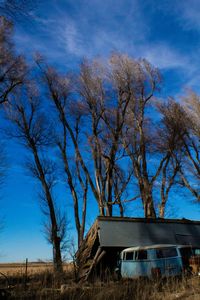 Bare trees on field against cloudy sky