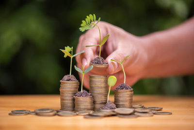 Cropped hand of woman holding coin on table