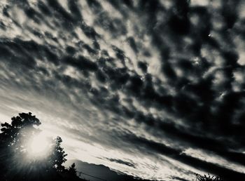 Low angle view of silhouette trees against sky during sunset