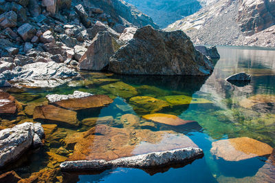 Reflection of trees in water