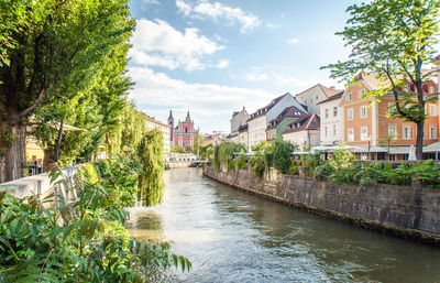 River amidst trees and buildings against sky