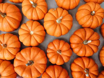 Full frame shot of pumpkins during autumn