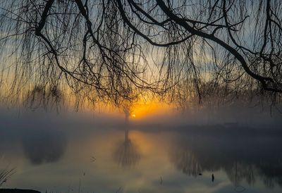 Bare tree by lake against sky during sunset