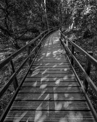 View of footbridge in forest