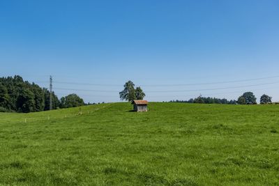 Scenic view of field against clear sky