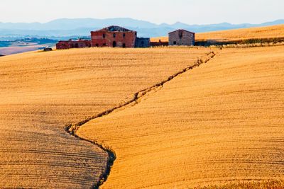 Scenic view of agricultural field against sky