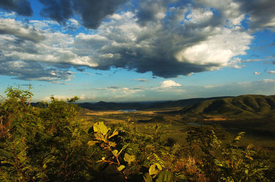 Scenic view of field against sky