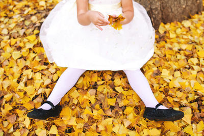 Low section of girl sitting on fallen leaves in park