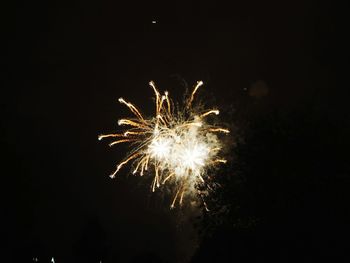 Low angle view of firework display at night