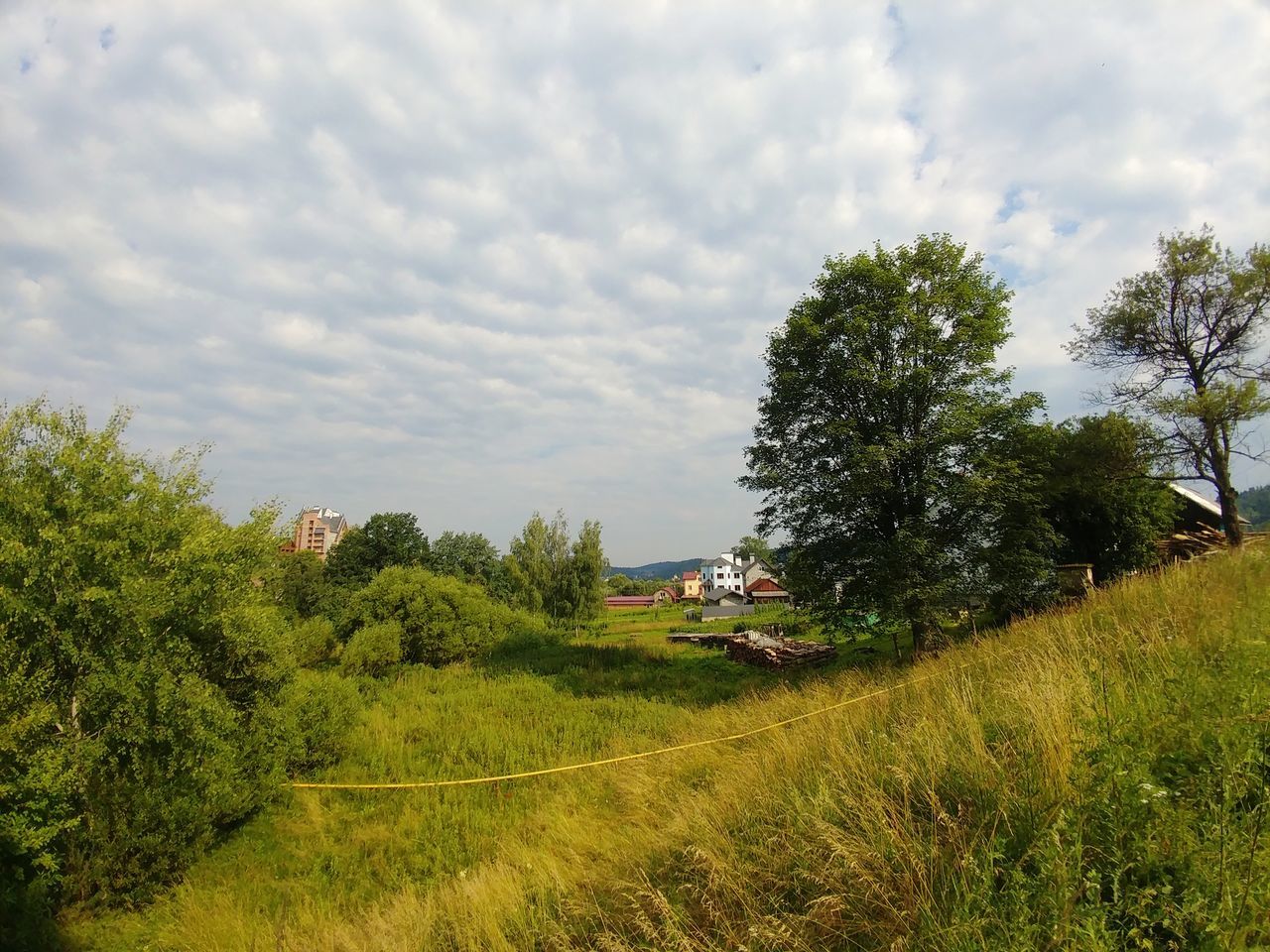 plant, tree, cloud - sky, sky, landscape, nature, land, field, transportation, mode of transportation, growth, environment, scenics - nature, green color, grass, no people, beauty in nature, land vehicle, outdoors, day