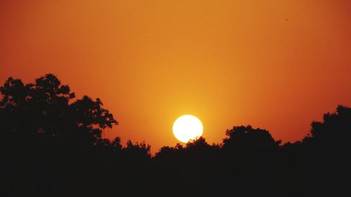 Silhouette trees against romantic sky at sunset