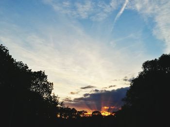 Low angle view of silhouette trees against sky