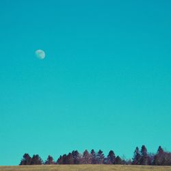 Scenic view of landscape against clear blue sky