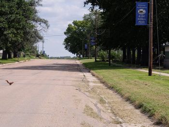 Empty road amidst trees against sky in city