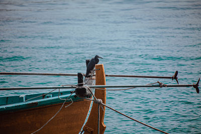 Fishing boat sailing on sea