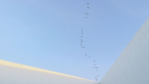 Low angle view of birds flying against clear sky