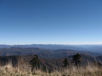 Scenic view of landscape against clear blue sky